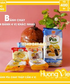Bánh pía truyền thống chay đậu xanh sầu riêng Tân Huê Viên 500gr