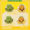 Hộp quà bánh trung thu Tân Huê Viên NGUYỆT ĐĂNG - HV05