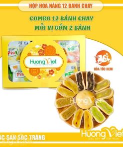 Combo hộp bánh pía chay mini 12 bánh 6 vị Tân Huê Viên