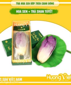 Trà hoa sen Đồng Tháp ướp nguyên bông cốt trà Shan Tuyết