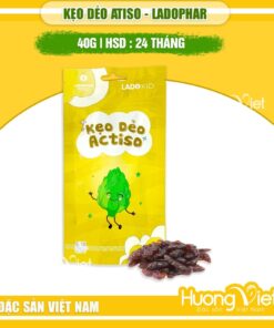Kẹo dẻo Actiso Ladophar Đà Lạt (Túi 40g) – Vị ngọt thanh tự nhiên Kẹo dẻo Actiso Ladophar Đà Lạt (Túi 40g) – Vị ngọt thanh tự nhiên