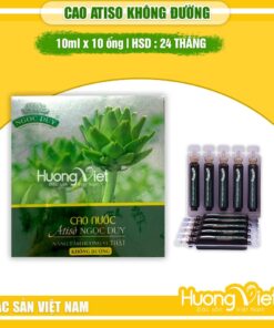 Cao nước Atiso không đường Ngọc Duy dạng ống (10 Ống x 10ml)